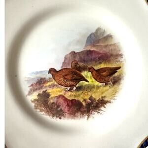 Antique Royal Worcester 1898 George Johnson Hand Painted Game Bird China-17 Pcs
